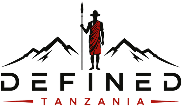 Defined Tanzania logo